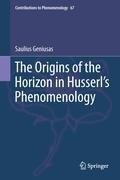 The Origins of the Horizon in Husserl's Phenomenology