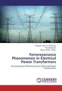 Ferroresonance Phenomenon in Electrical Power Transformers