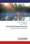 Ensuring Energy Security