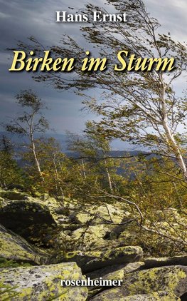 Birken im Sturm