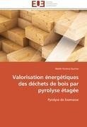 Valorisation énergétiques des déchets de bois par pyrolyse étagée