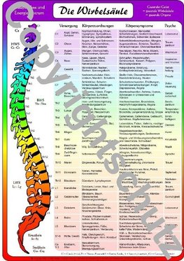 Wirbelsäulenzonen Übersichtskarte