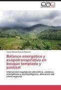 Balance energético y evapotranspirativo en bosque templado y pastizal