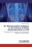 a1 Aderenoceptor Subtypes in the Control of Renal Haemodynamics in LVH