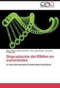 Degradación del RNAm en eucariontes