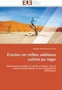 Érosion en milieu sableaux cultivé au niger