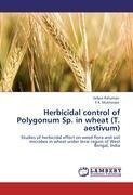 Herbicidal control of Polygonum Sp. in wheat (T. aestivum)