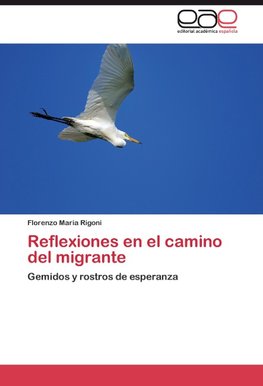 Reflexiones en el camino del migrante