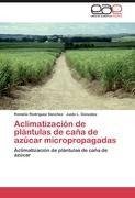 Aclimatización de plántulas de caña de azúcar micropropagadas