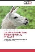 Los derechos de tierra indígena post Ley   Nº 19.253