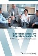 Innovationsteams im Projektmanagement