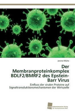 Der Membranproteinkomplex BDLF2/BMRF2 des Epstein-Barr Virus