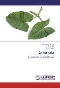 Colocasia