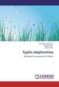 Typha elephantina