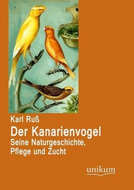 Der Kanarienvogel