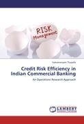 Credit Risk Efficiency in Indian Commercial Banking