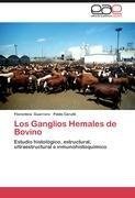 Los Ganglios Hemales de Bovino