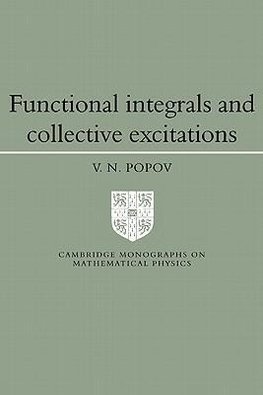 Functional Integrals and Collective Excitations