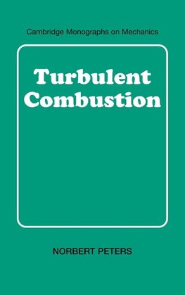 Turbulent Combustion