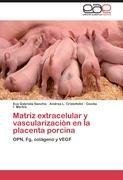 Matríz extracelular y vascularización en la placenta porcina