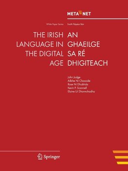 The Irish Language in the Digital Age