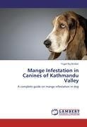 Mange Infestation in Canines of Kathmandu Valley