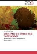 Elementos de cálculo real multivaluado