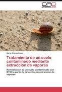 Tratamiento de un suelo contaminado mediante extracción de vapores