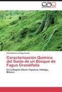 Caracterización Química del Suelo de un Bosque de Fagus Grandifolia