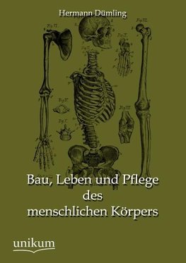 Bau, Leben und Pflege des menschlichen Körpers