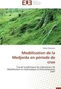 Modélisation de la Medjerda en période de crue