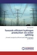 Towards efficient hydrogen production via water splitting