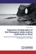 Sequence stratigraphy of the Paleogene deep marine sediments in Sinai