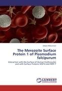 The Merozoite Surface Protein 1 of Plasmodium falcipurum