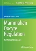 Mammalian Oocyte Regulation