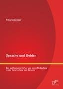 Sprache und Gehirn: Der auditorische Kortex und seine Bedeutung in der Verarbeitung von Sprache