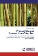 Propagation and Preservation of Bamboo