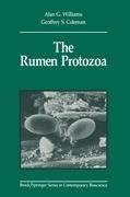 The Rumen Protozoa