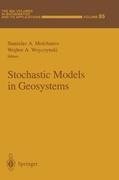 Stochastic Models in Geosystems