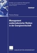 Management wetterinduzierter Risiken in der Energiewirtschaft