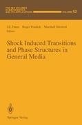 Shock Induced Transitions and Phase Structures in General Media