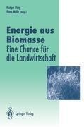 Energie aus Biomasse