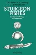 Sturgeon Fishes