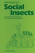 Social Insects