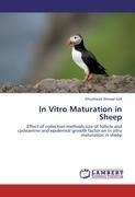 In Vitro Maturation in Sheep