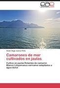 Camarones de mar cultivados en jaulas