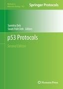 p53 Protocols