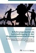 Erfahrungsräume als Lernbedingung in der Organisationsentwicklung