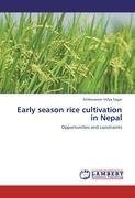 Early season rice cultivation in Nepal