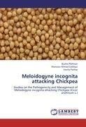 Meloidogyne incognita attacking Chickpea